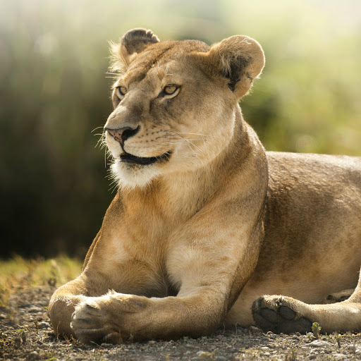 Hd-176753-ascw176753