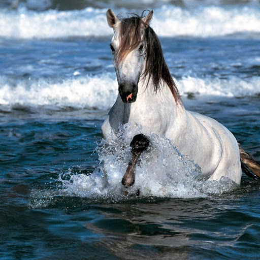 Hd-136456-ascw136456