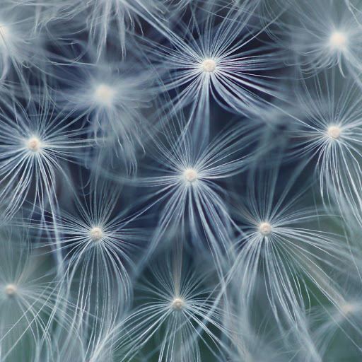 Hd-163641-ascw163641