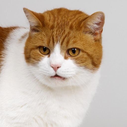 Hd-182505-ascw182505