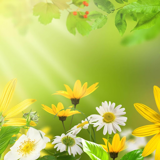 Hd-144260-ascw144260