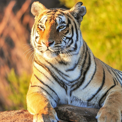 Hd-180317-ascw180317