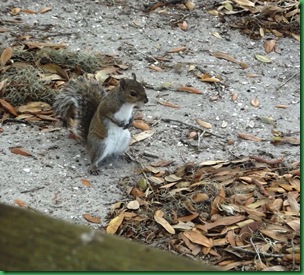 the beggar eating