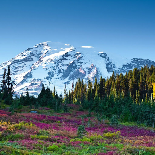 Hd-170659-ascw170659