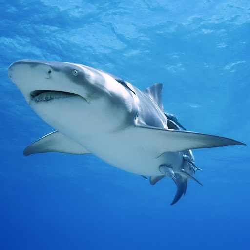 Hd-139727-ascw139727