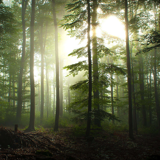 Hd-143313-ascw143313