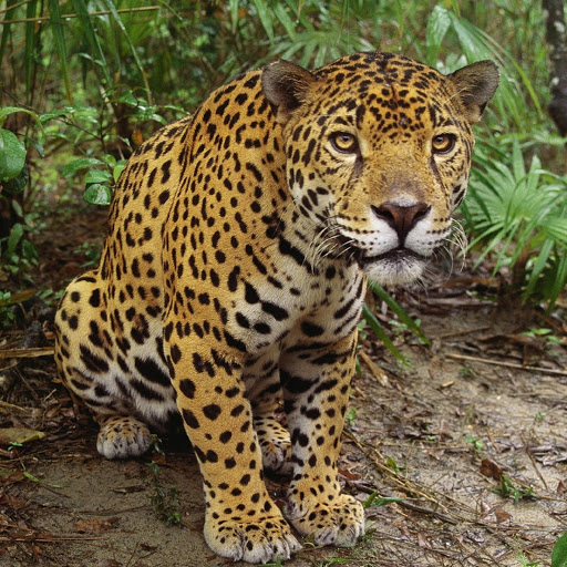 Hd-180354-ascw180354