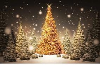 Christmas-Trees Christmas-Trees