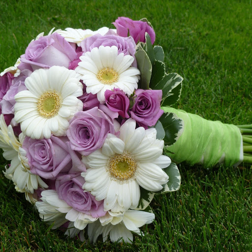 Hd-178092-ascw178092