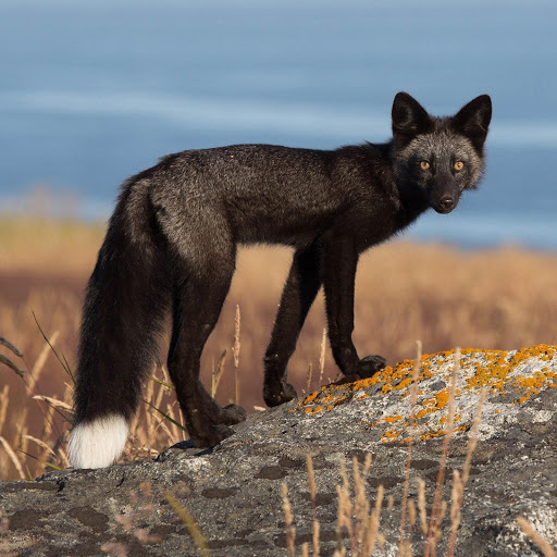 Hd-147027-ascw147027