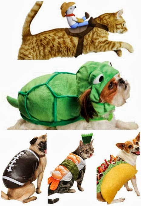 Halloween Pet Costumes 2