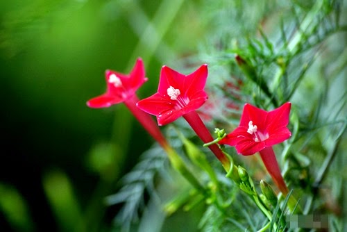 [clip_image003%255B3%255D.jpg]