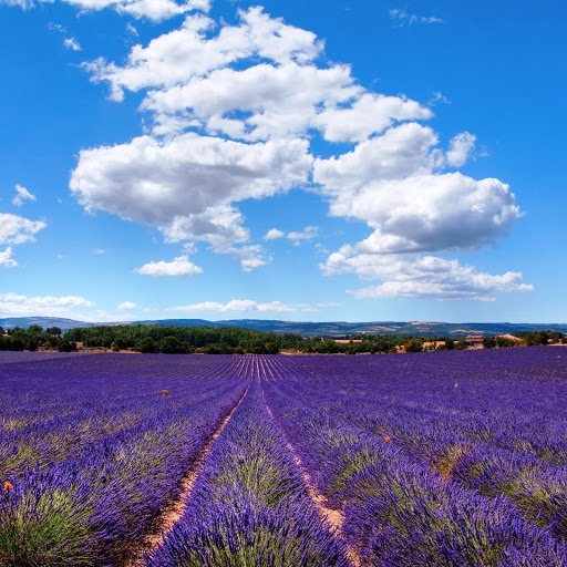 Hd-141734-ascw141734