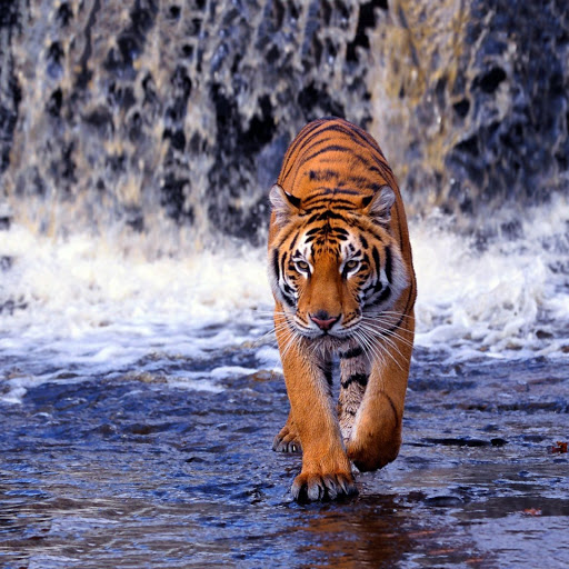 Hd-138082-ascw138082