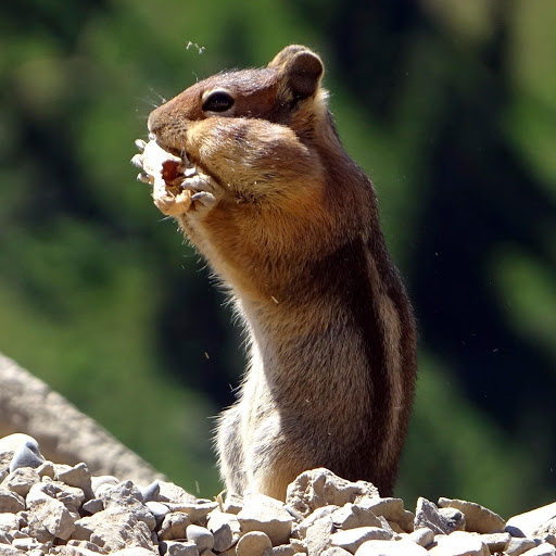 Hd-179116-ascw179116