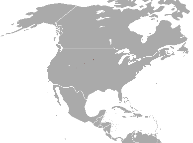 [Black-footed_Ferret_area%255B3%255D.png]