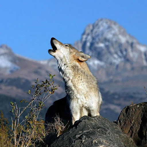 Hd-173374-ascw173374