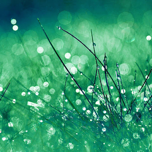 Hd-137916-ascw137916