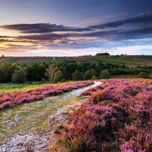 Hd-150398-ascw150398