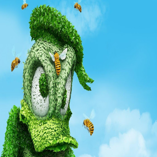 Hd-135538-ascw135538