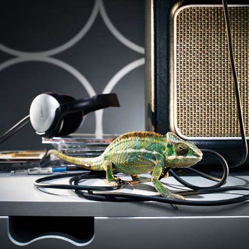 Hd-136542-ascw136542