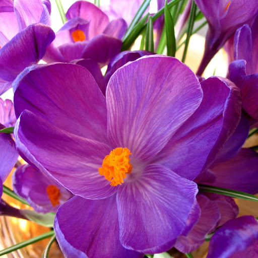 Hd-136992-ascw136992