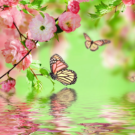 Hd-173716-ascw173716