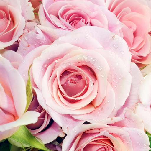 Hd-132872-ascw132872