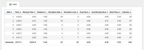 Larian Kitar Semula 5km splits