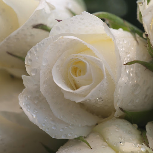 Hd-171846-ascw171846