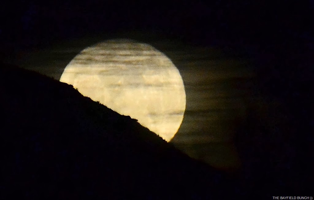 [DSC_0008%255B3%255D.jpg]