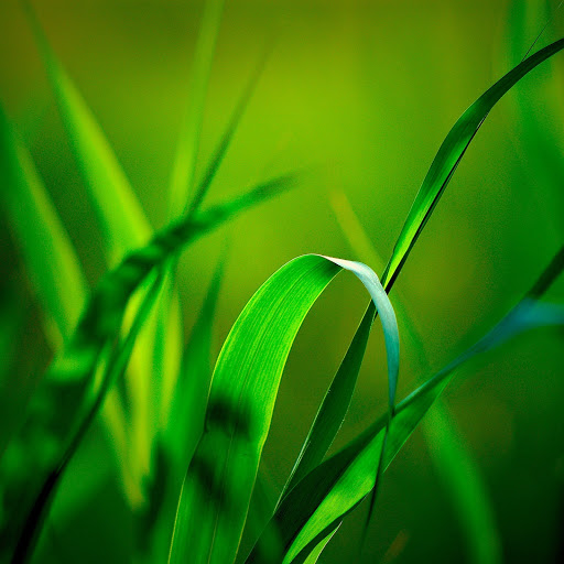 Hd-164467-ascw164467