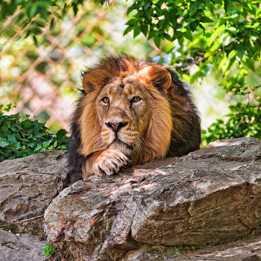 Hd-178203-ascw178203