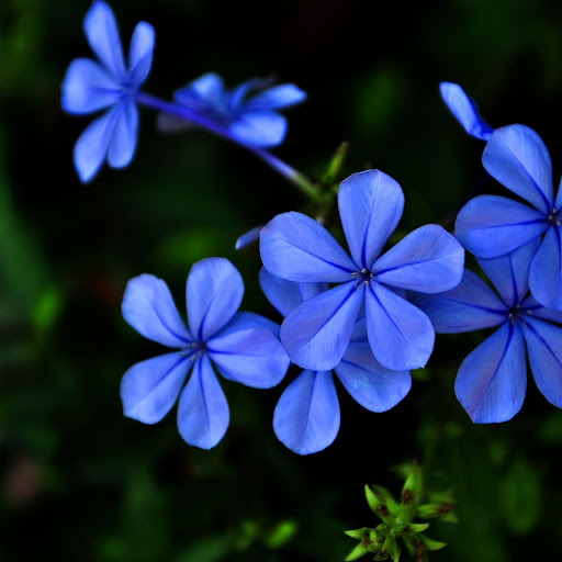 Hd-147273-ascw147273