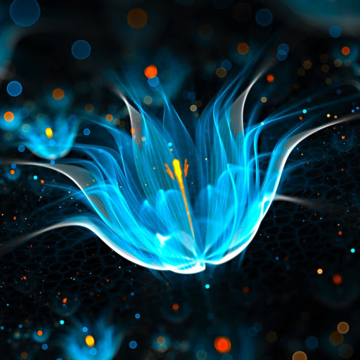 Hd-163143-ascw163143