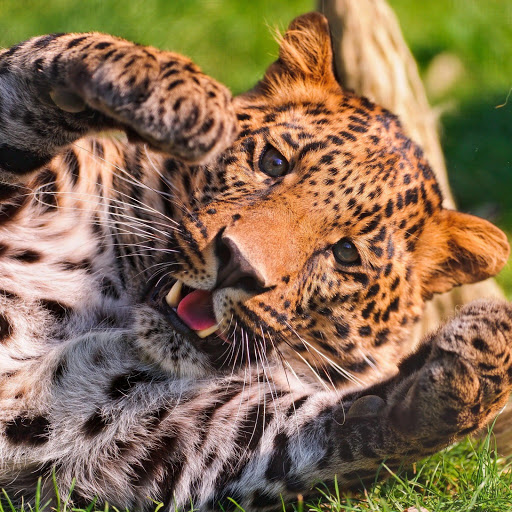 Hd-134630-ascw134630