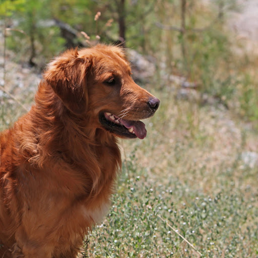 Hd-169978-ascw169978