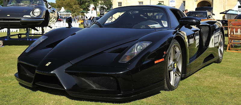 ferrari enzo 2016