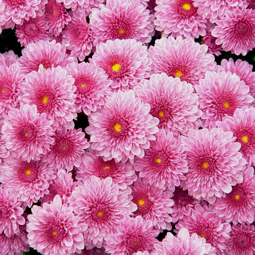 Hd-147679-ascw147679