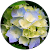 Mary-Eileen Moorman Mary-Eileen Moorman
