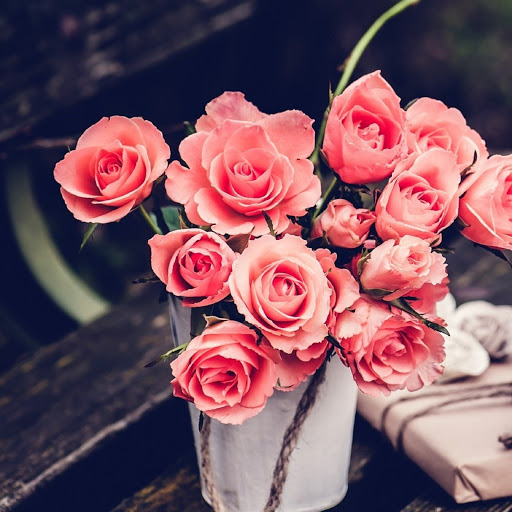 Hd-180226-ascw180226