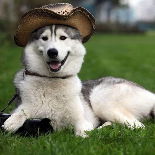 Hd-135229-ascw135229