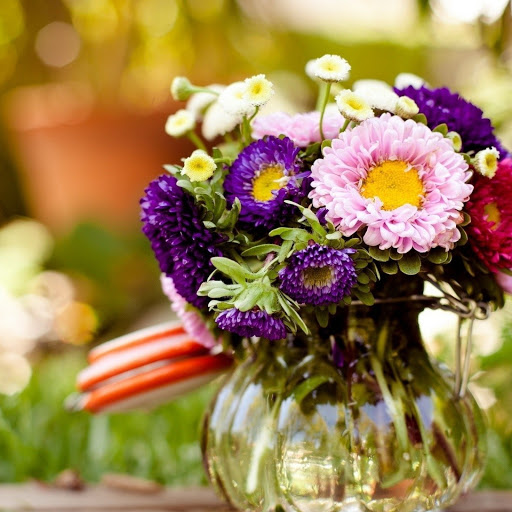 Hd-141319-ascw141319