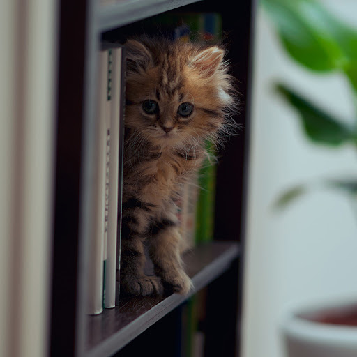 Hd-180648-ascw180648