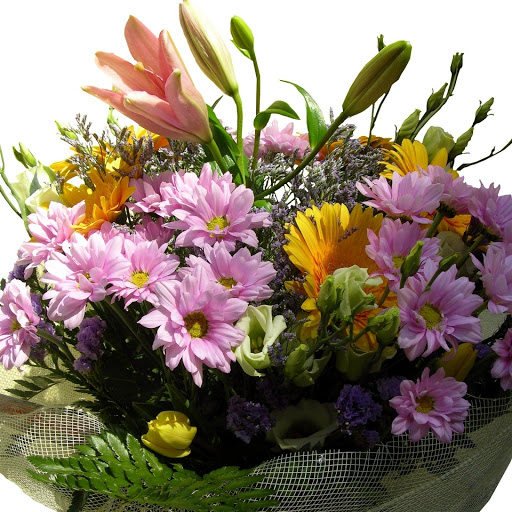 Hd-149237-ascw149237