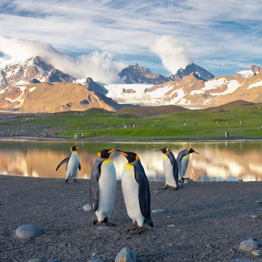 Hd-170857-ascw170857