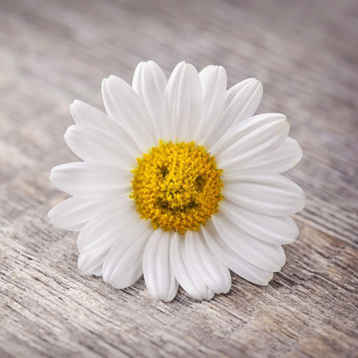 Hd-156752-ascw156752