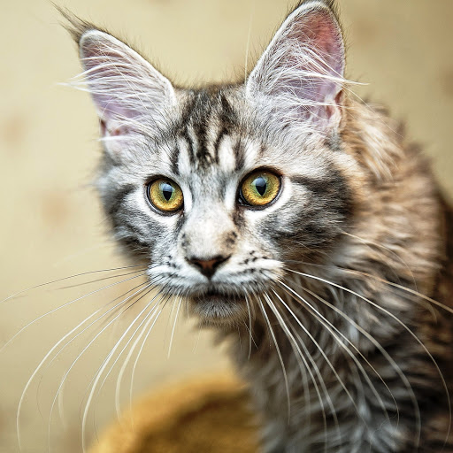 Hd-147484-ascw147484