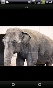 i 動物園　池田動物園(圖4)-速報App