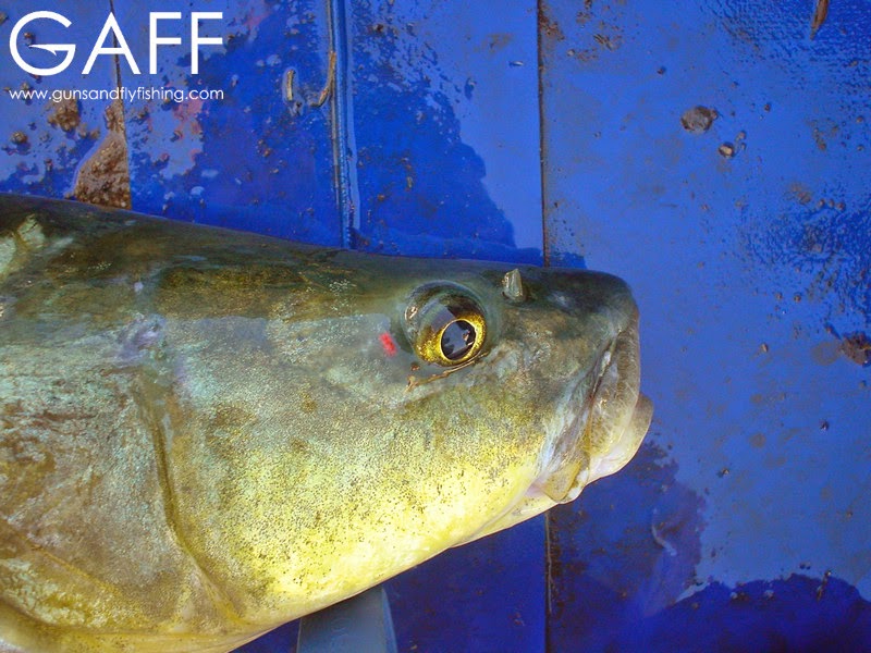 Largemouth-Yellowfish-Fly-Fishing (8).jpg